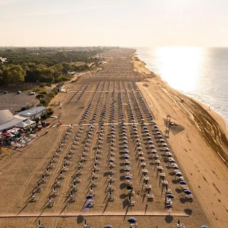 Charming With Terrace *